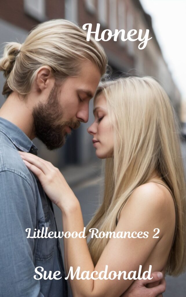 Honey 2025 Cover - Littlewood Friends To Lovers, Small Town Charm, Love triangle (no cheating)